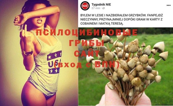 не бодяженный Краснотурьинск