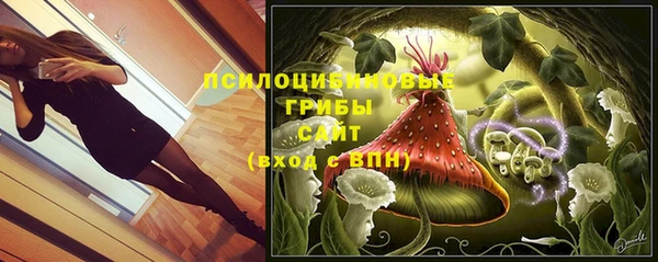 эйфоретик Краснослободск