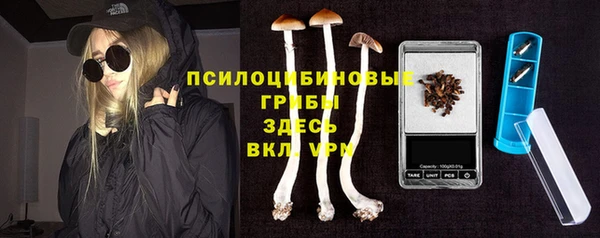 эйфоретик Краснослободск