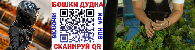 Каннабис Amnesia  Поворино 
